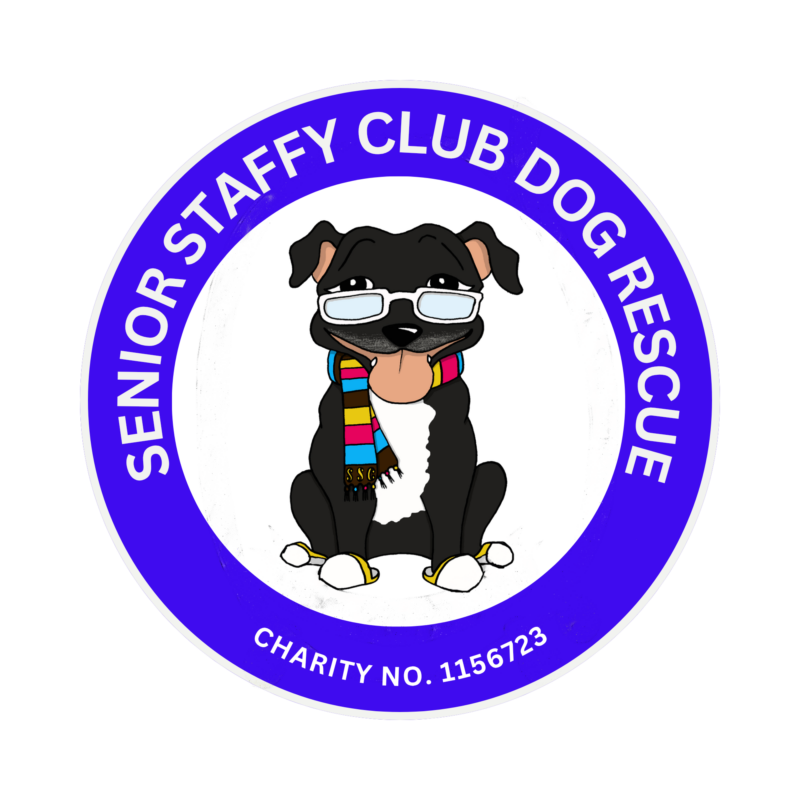 Senior Staffy Club Dog Rescue