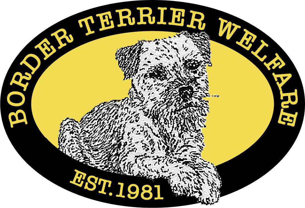 Border Terrier Welfare