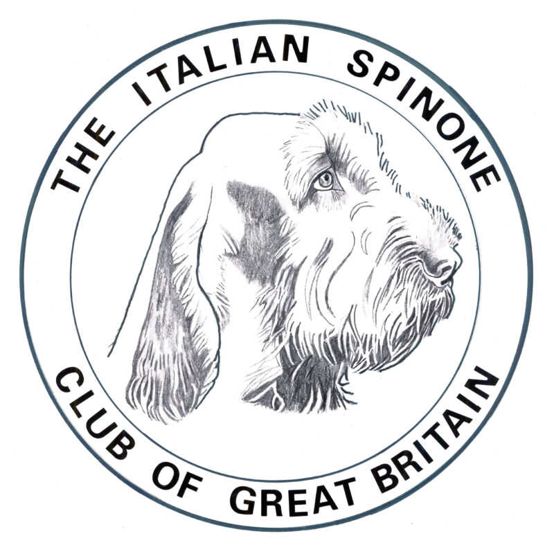 Italian Spinone Club
